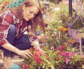 Online Course Advance Diploma in Gardening