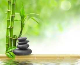 Online Courses Diploma in Feng-Shui