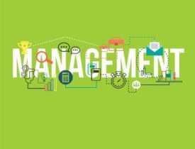 Diploma in Management Online Course