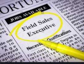 Diploma in field Sales Executive