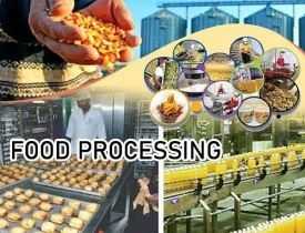 Diploma in Agri Food Processing