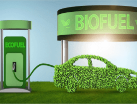 Diploma in Bio-CNG (Green Fuel)