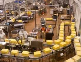 online course Certificate in Cheese Processing Business