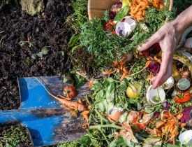 Diploma in Organic Waste Management