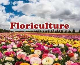 Floriculture Course