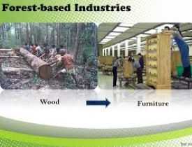 online Forest Based Industries Course