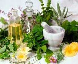 Online Course Certificate in Medicinal Plants Processing course