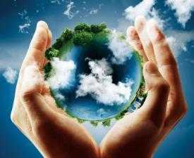 Online Course Post Graduate Diploma in Sustainability Science