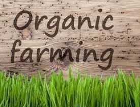 Organic Farming Business Course