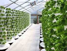 diploma in Hydroponics Course