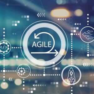 Online Course Certified Agile Transformation Consultant