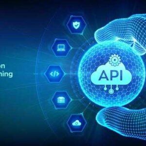 Online Course Certified Application Programming Interface Developer