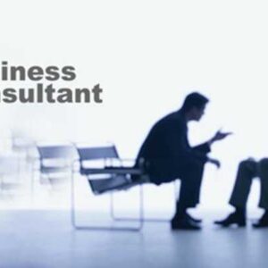 Online Course Certified Business Consultant