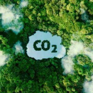 Online Course Certified Carbon Reduction Specialist