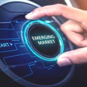 Online Course Certified Emerging Markets Business Executive