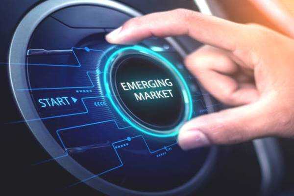 Online Course Certified Emerging Markets Business Executive