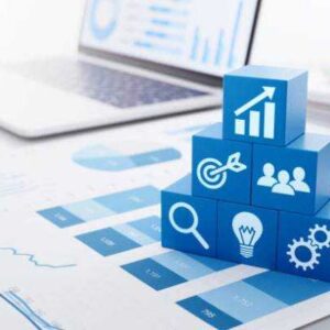 Online Course Certified Enterprise Performance Manager