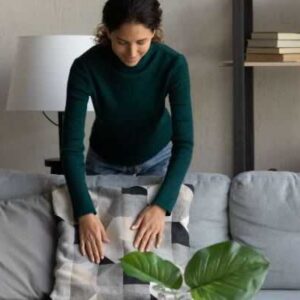 Online Course Certified Home Staging Consultant