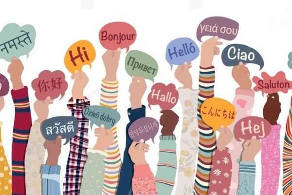 Online Course Certified Multilingual Education Support Specialist