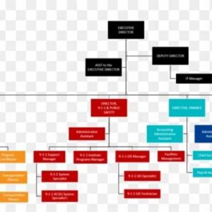 Online Course Certified Organizational Mapping Assistant