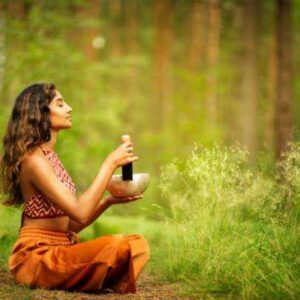 Online Course Certified Sound & Mantra Meditation Teacher