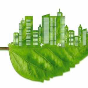 Online Course Certified Sustainable Construction Manager (Green Buildings)