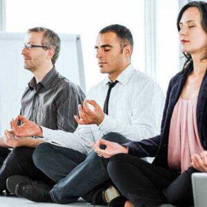 Online Course Certified Yoga & Meditation Business Consultant
