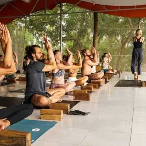 Online Course Certified Yoga & Meditation E-learning Course Developer