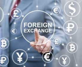 Online Course Certificate in Foreign Exchange Professional