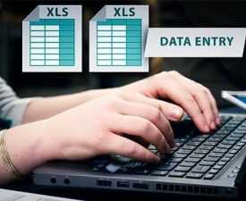 Online Course Certificate in MS Excel & Data Entry