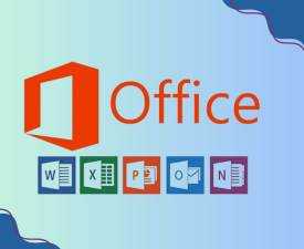 Online Course Certificate in MS Office & Internet Basics