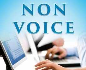 Online Course Certificate in Non-Voice Process Executive