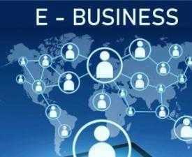 Post Graduate Diploma in Management (E- Business)