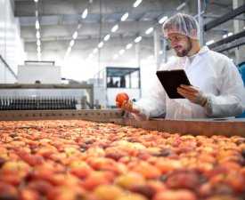 Online Course Certificate in Quality Control and Quality Assurance (Food Industry)