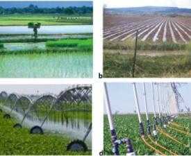 online course diploma in Agriculture Water Management