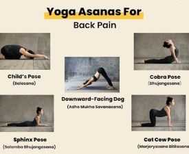 Online Course Diploma in Yoga for Back Pain